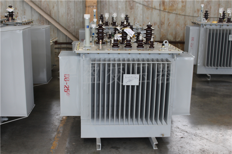 巴音郭楞S20-800kVA/10kV/0.4kV变压器